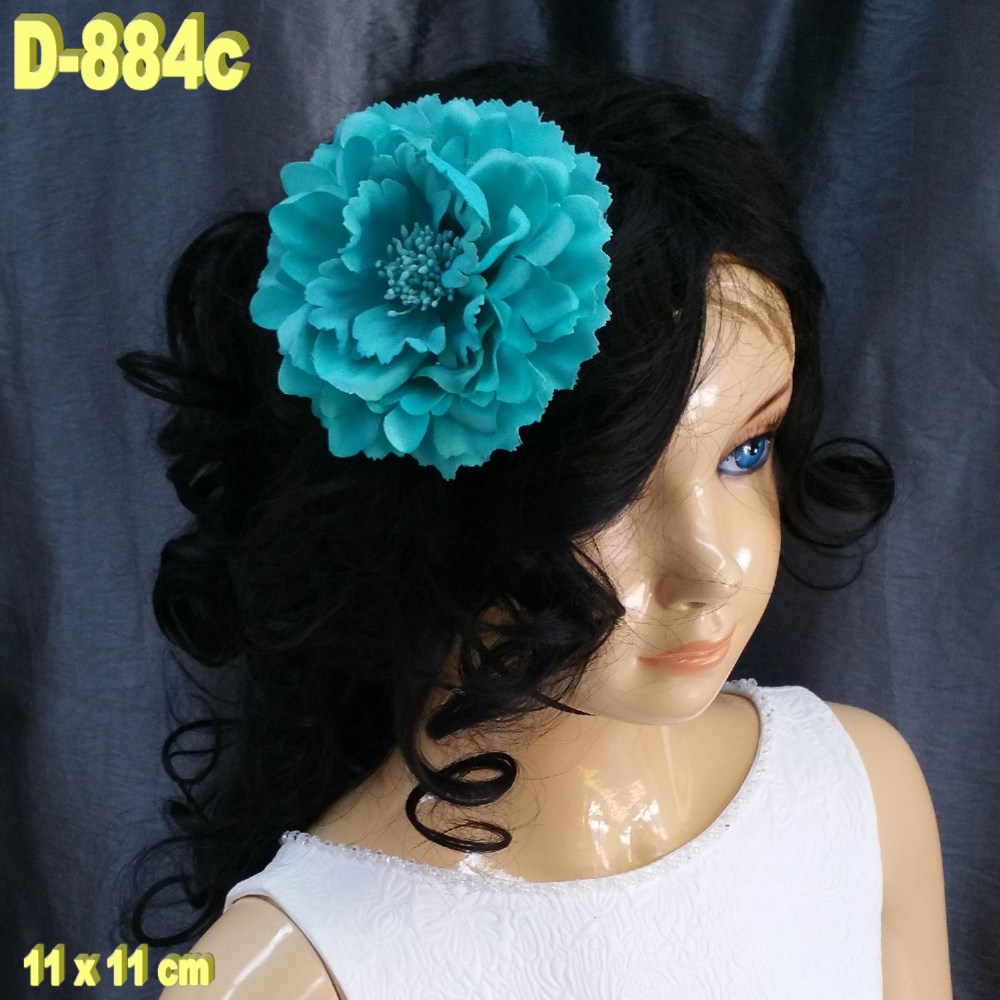 D-884c (1)